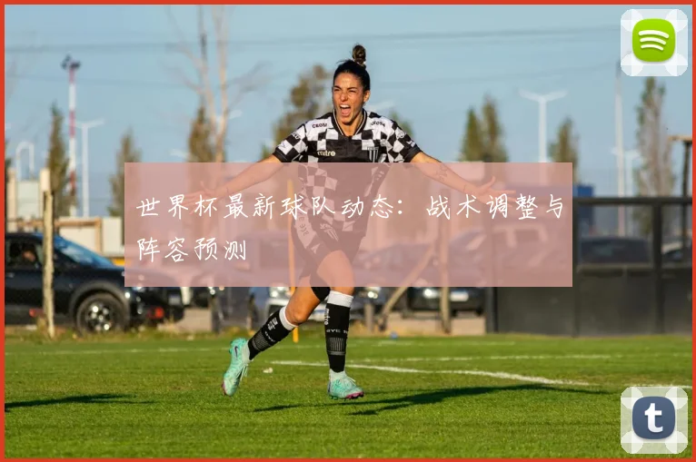 世界杯最新球队动态:战术调整与阵容预测