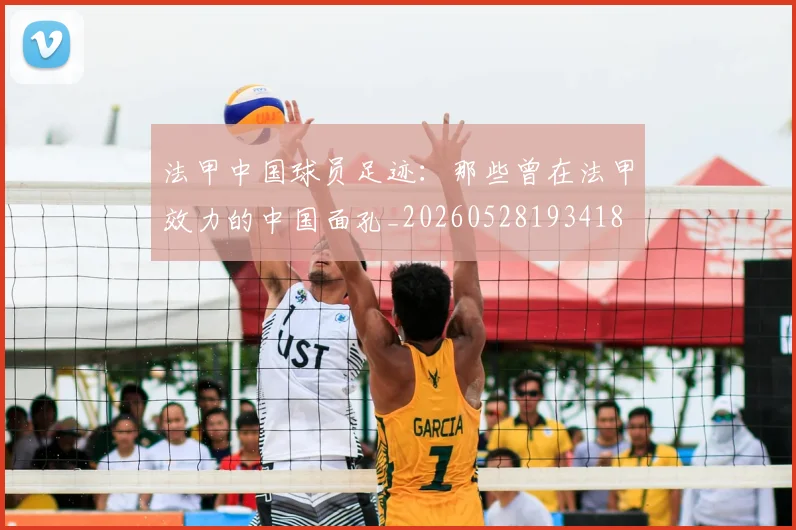 法甲中国球员足迹：那些曾在法甲效力的中国面孔_20260528193418